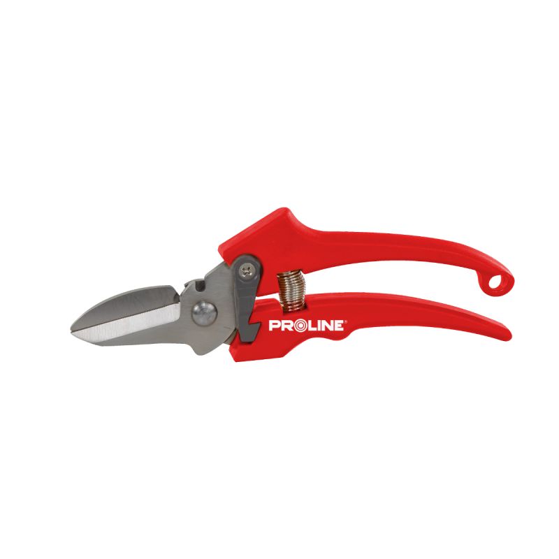  PROLINE   HOSSZÚ INOX METSZŐOLLÓ - 18MM  termék fő termékképe