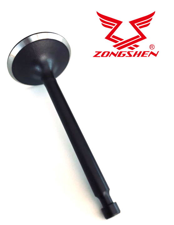  ZONGSHEN   SZÍVÓSZELEP ZONGSHEN XP420  termék fő termékképe