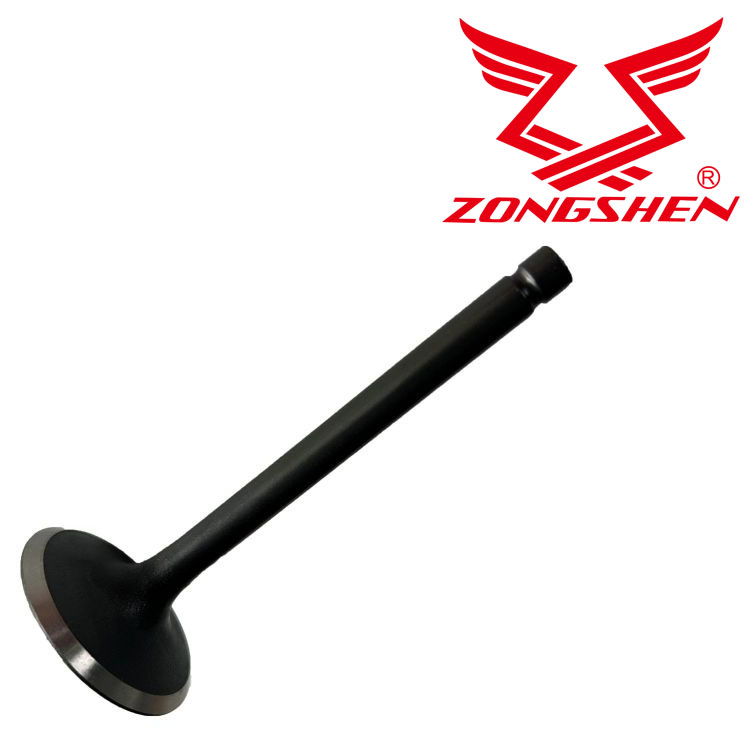  ZONGSHEN   SZÍVÓSZELEP ZONGSHEN XP380, XP440  termék fő termékképe