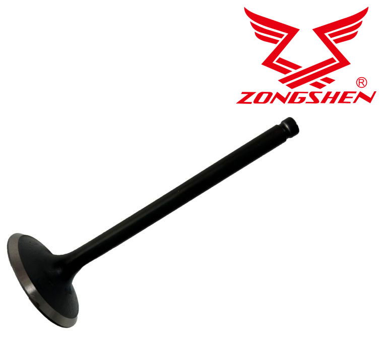  ZONGSHEN   SZÍVÓSZELEP ZONGSHEN XP550, XP620  termék fő termékképe