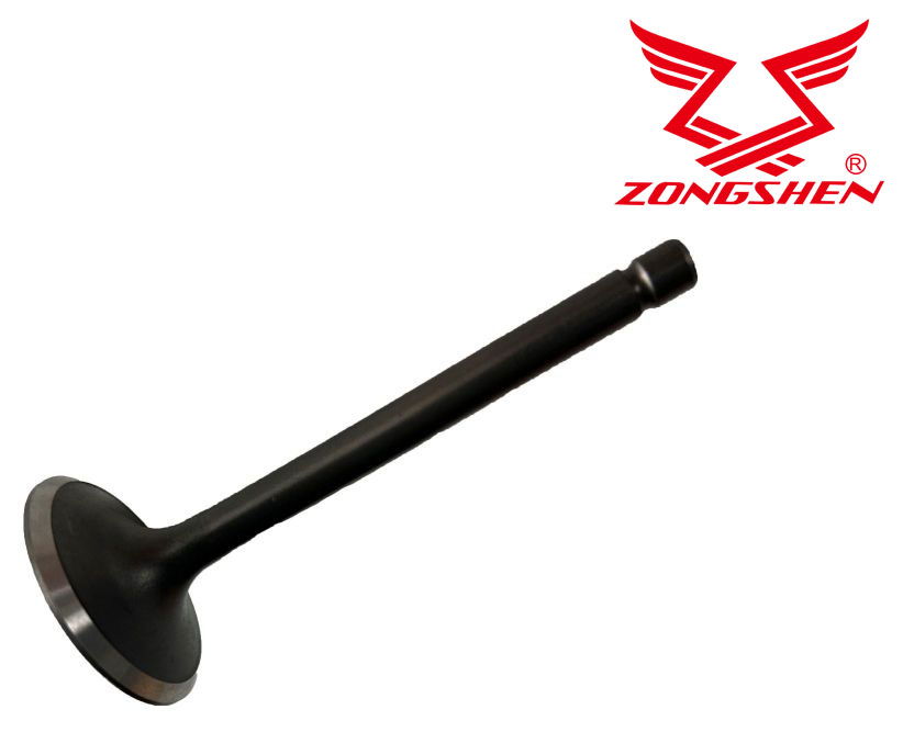  ZONGSHEN   SZÍVÓSZELEP ZONGSHEN GB680, XP680  termék fő termékképe
